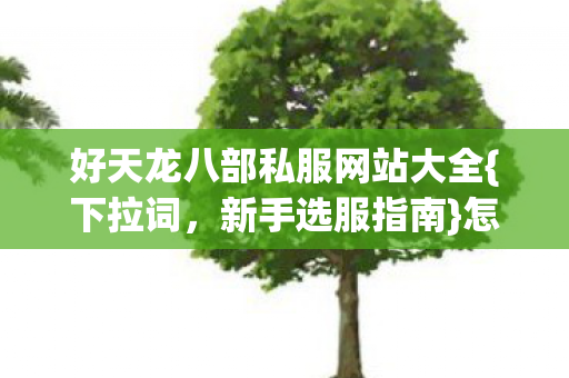 好天龙八部私服网站大全{下拉词，新手选服指南}怎么选才靠谱？
