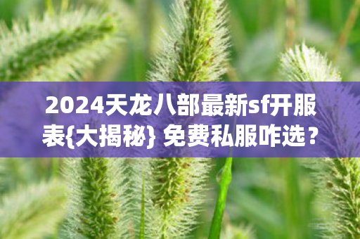 2024天龙八部最新sf开服表图片