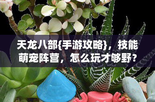 技能萌宠阵营图片