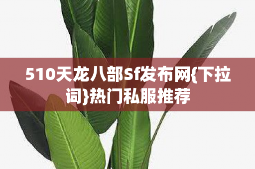 510天龙八部Sf发布网{下拉词}热门私服推荐