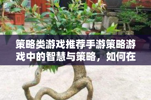 策略类游戏推荐手游策略游戏中的智慧与策略，如何在文明系列中建立不朽帝国，如何在文明系列中建立不朽帝国，手游策略游戏中的智慧与策略