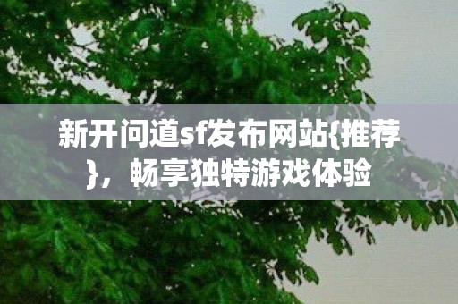 新开问道sf发布网站图片