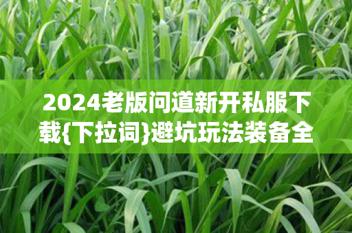 2024老版问道新开私服下载图片