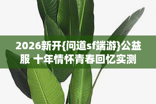 公益服 十年情怀青春回忆实测真香图片