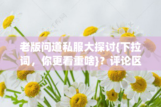 老版问道私服大探讨图片