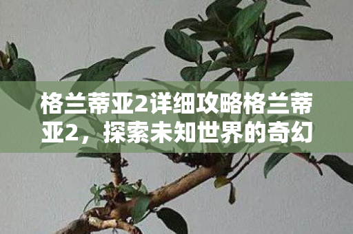 格兰蒂亚2详细攻略格兰蒂亚2，探索未知世界的奇幻之旅，格兰蒂亚2，探索未知世界的奇幻冒险之旅
