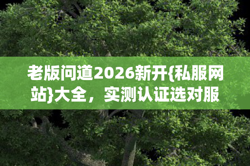 老版问道2026新开图片