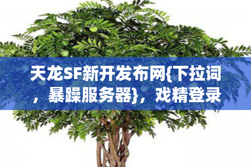 天龙SF新开发布网图片