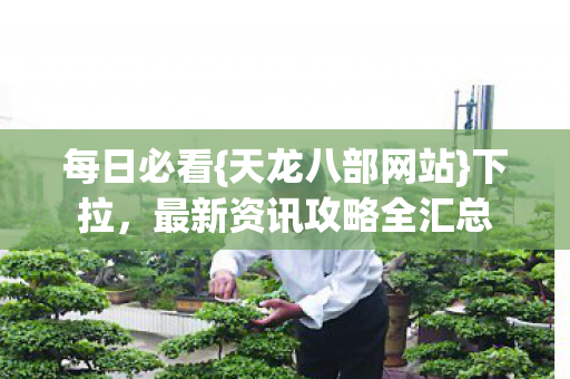 最新资讯攻略全汇总图片