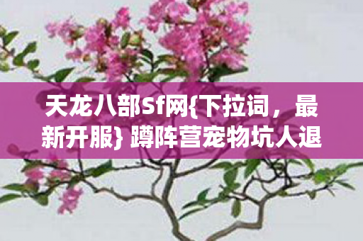 蹲阵营宠物坑人退游经历图片