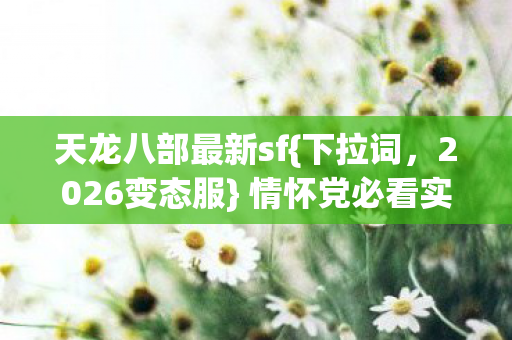 情怀党必看实测良心服图片