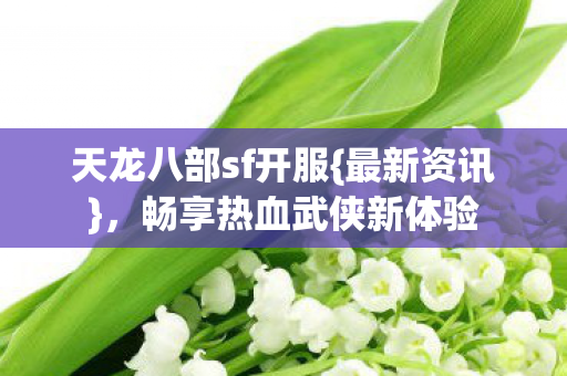 天龙八部sf开服{最新资讯}，畅享热血武侠新体验