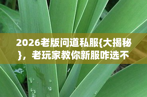 老玩家教你新服咋选不翻车图片