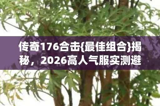 2026高人气服实测避坑指南图片