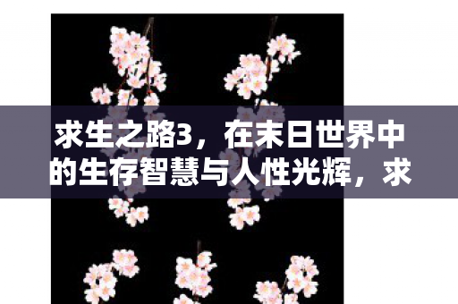求生之路3，在末日世界中的生存智慧与人性光辉，求生之路3，末日世界中的生存智慧与人性光辉