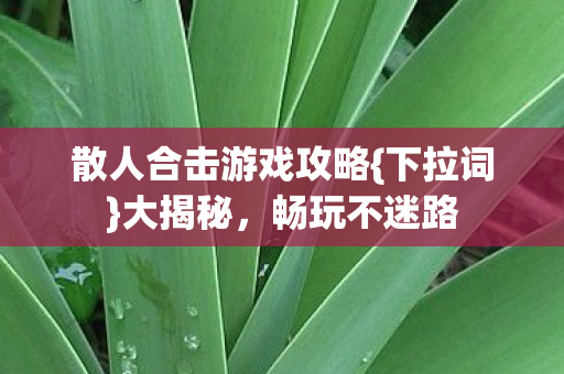 散人合击游戏攻略图片