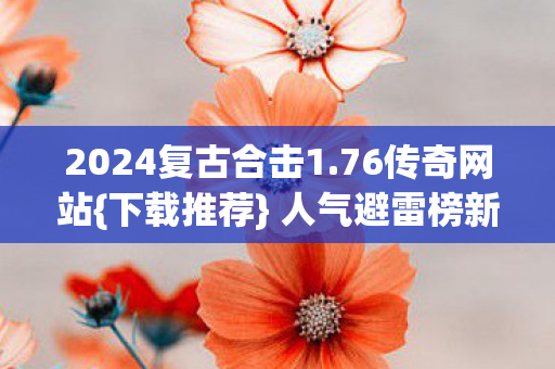 2024复古合击1图片