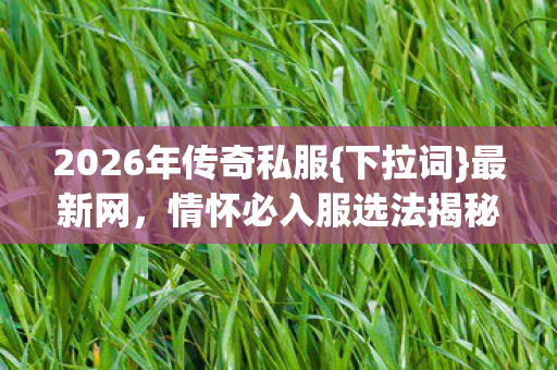 2026年传奇私服图片