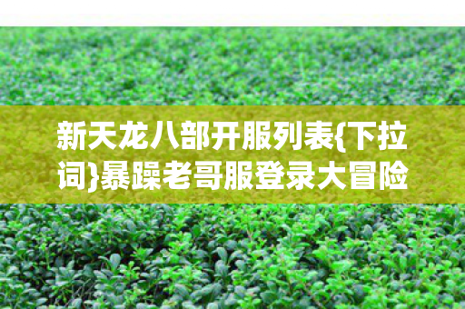 暴躁老哥服登录大冒险图片
