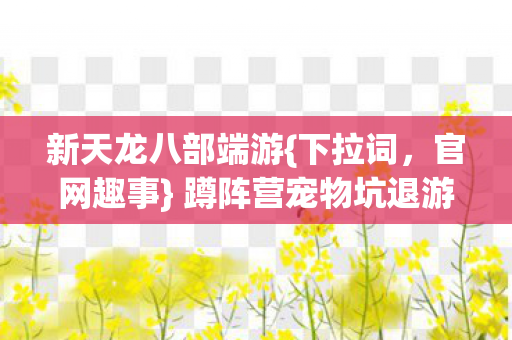 蹲阵营宠物坑退游经历图片