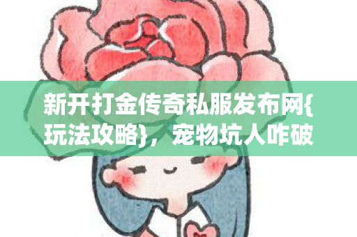 新开打金传奇私服发布网图片