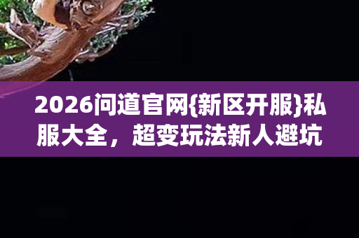 超变玩法新人避坑攻略图片