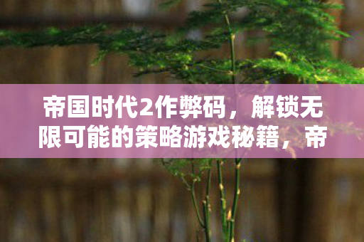帝国时代2作弊码，解锁无限可能的策略游戏秘籍，帝国时代2，解锁无限策略的游戏秘籍