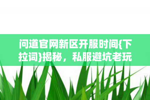 问道官网新区开服时间图片
