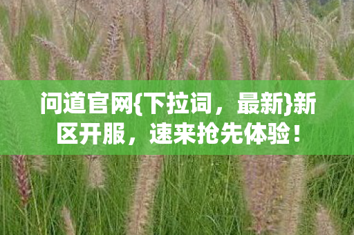 速来抢先体验图片