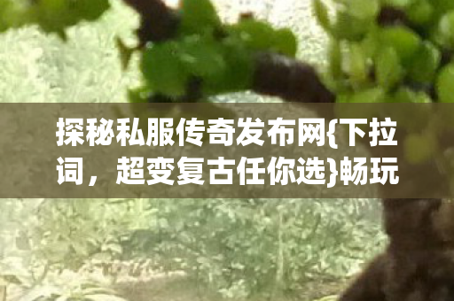 探秘私服传奇发布网图片