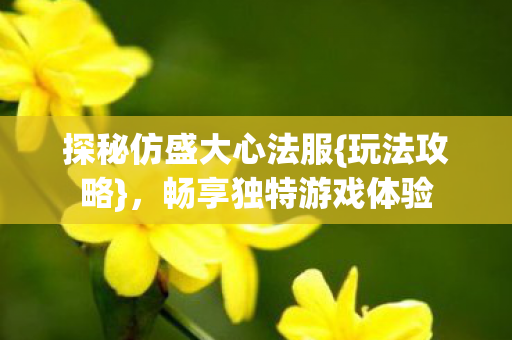 探秘仿盛大心法服图片