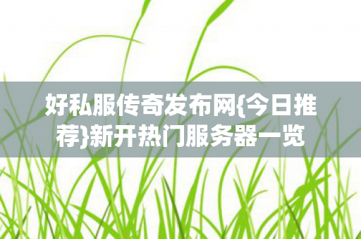 新开热门服务器一览图片