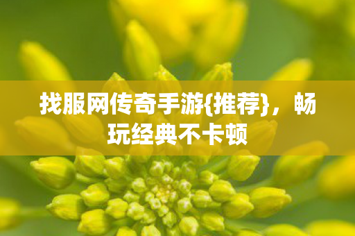找服网传奇手游图片