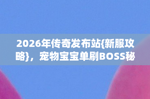 宠物宝宝单刷BOSS秘籍图片