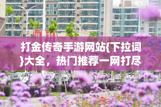 打金传奇手游网站图片