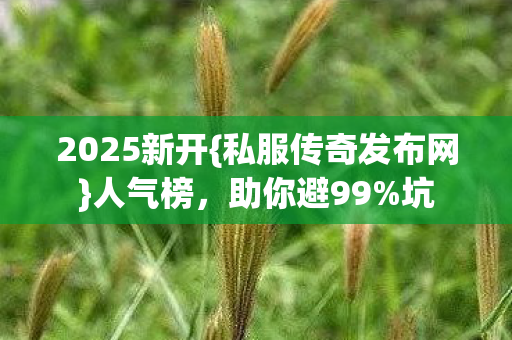 私服传奇发布网图片
