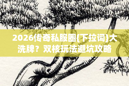 2026传奇私服圈图片