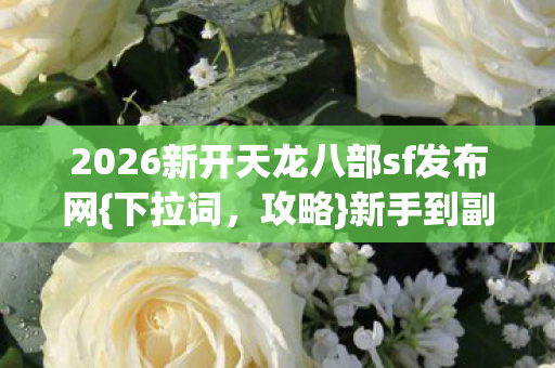 2026新开天龙八部sf发布网图片