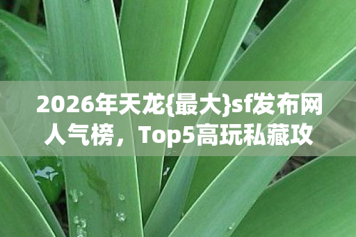 Top5高玩私藏攻略图片