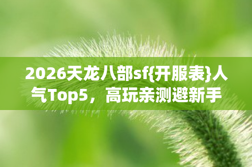 2026天龙八部sf{开服表}人气Top5，高玩亲测避新手坑
