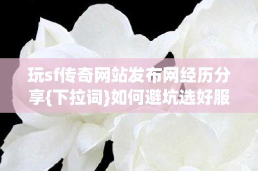 玩sf传奇网站发布网经历分享图片