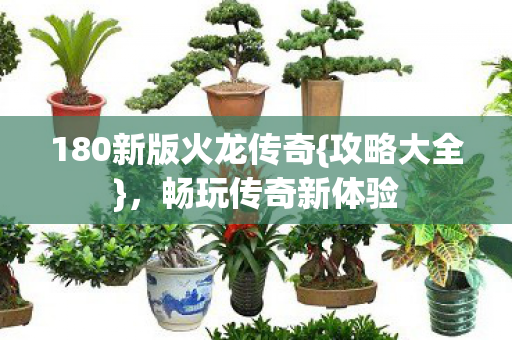 180新版火龙传奇图片