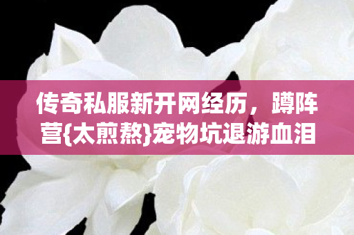 传奇私服新开网经历图片