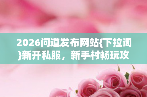 2026问道发布网站{下拉词}新开私服，新手村畅玩攻略