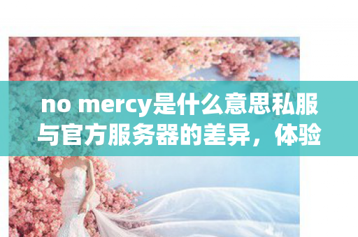 no mercy是什么意思私服与官方服务器的差异，体验与安全的权衡，No Mercy背后的权衡，私服与官方服务器的体验与安全差异