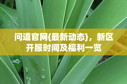 新区开服时间及福利一览图片