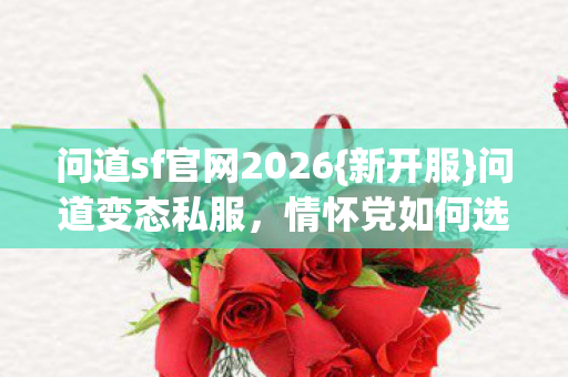 问道sf官网2026图片
