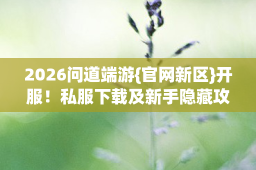 私服下载及新手隐藏攻略图片