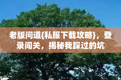 揭秘我踩过的坑图片