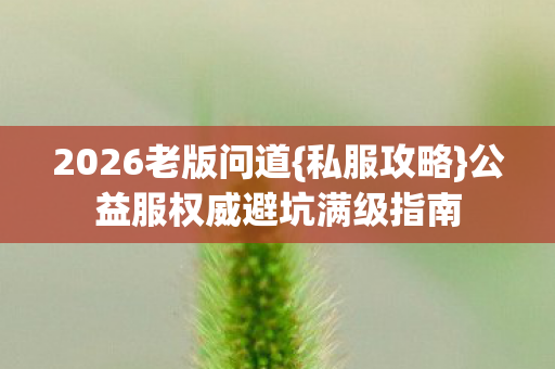公益服权威避坑满级指南图片